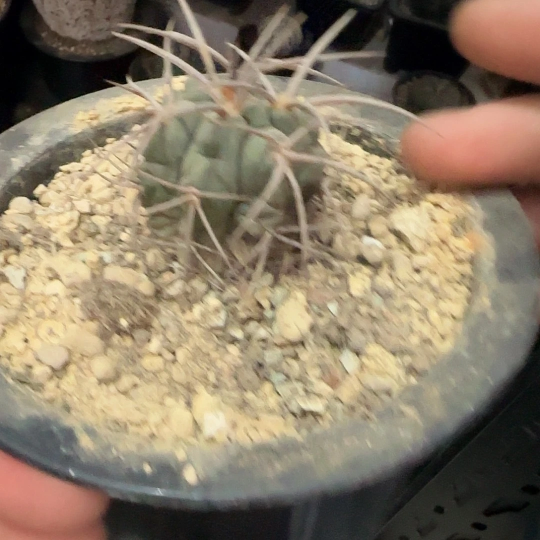 没名字1111111111111111111