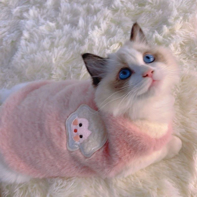 猫咪衣服秋冬季布偶猫保暖背心绒衣宠物狗狗衣服小猫猫幼猫防掉