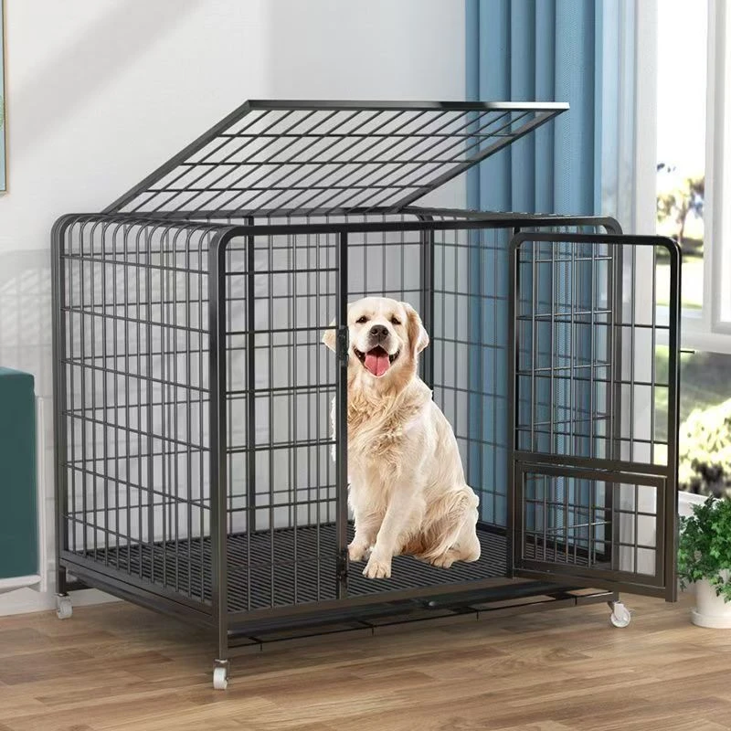 爱犬笼子，金毛笼子。狗狗