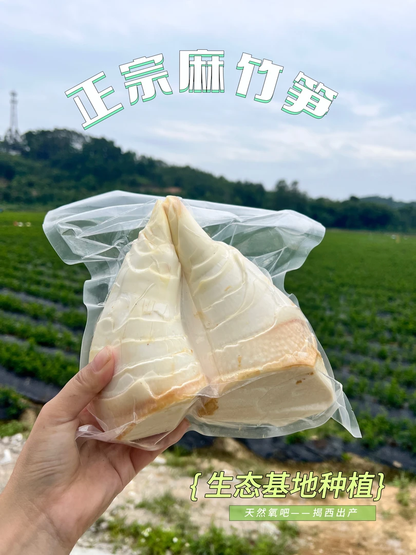 2025笋丝麻竹笋麻笋甜笋丝原味真空农家笋潮汕揭阳笋埔田竹笋