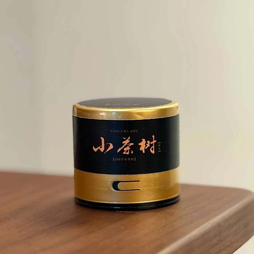 ［小茶树麻粟200年单株］夷山觅叶桐木关老丛灌木单株200年5克