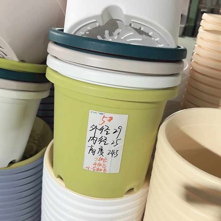 四季5#果绿5个无托口径29