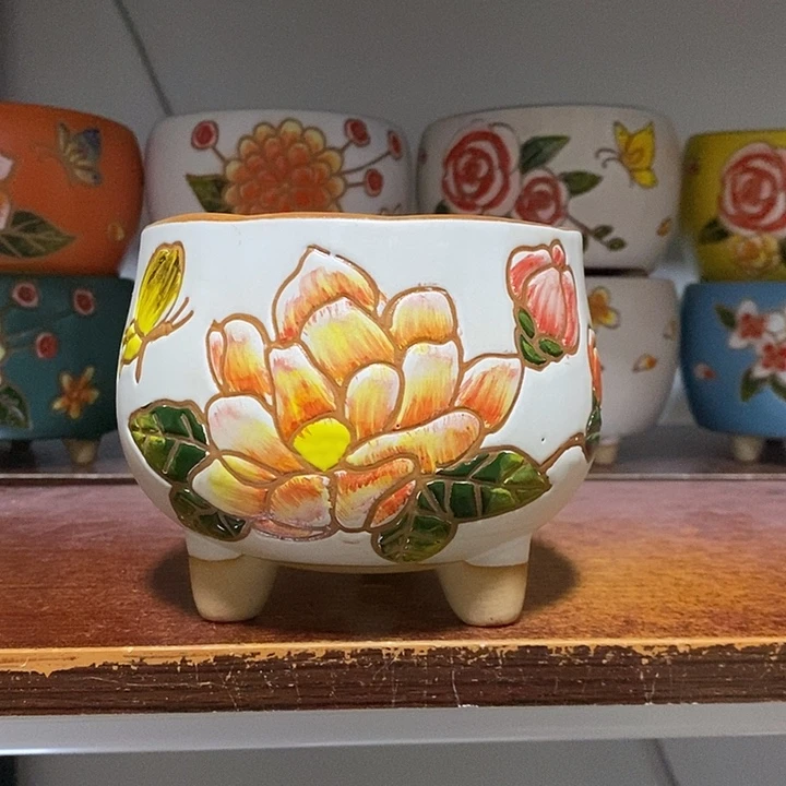 韩式多肉植物花盆