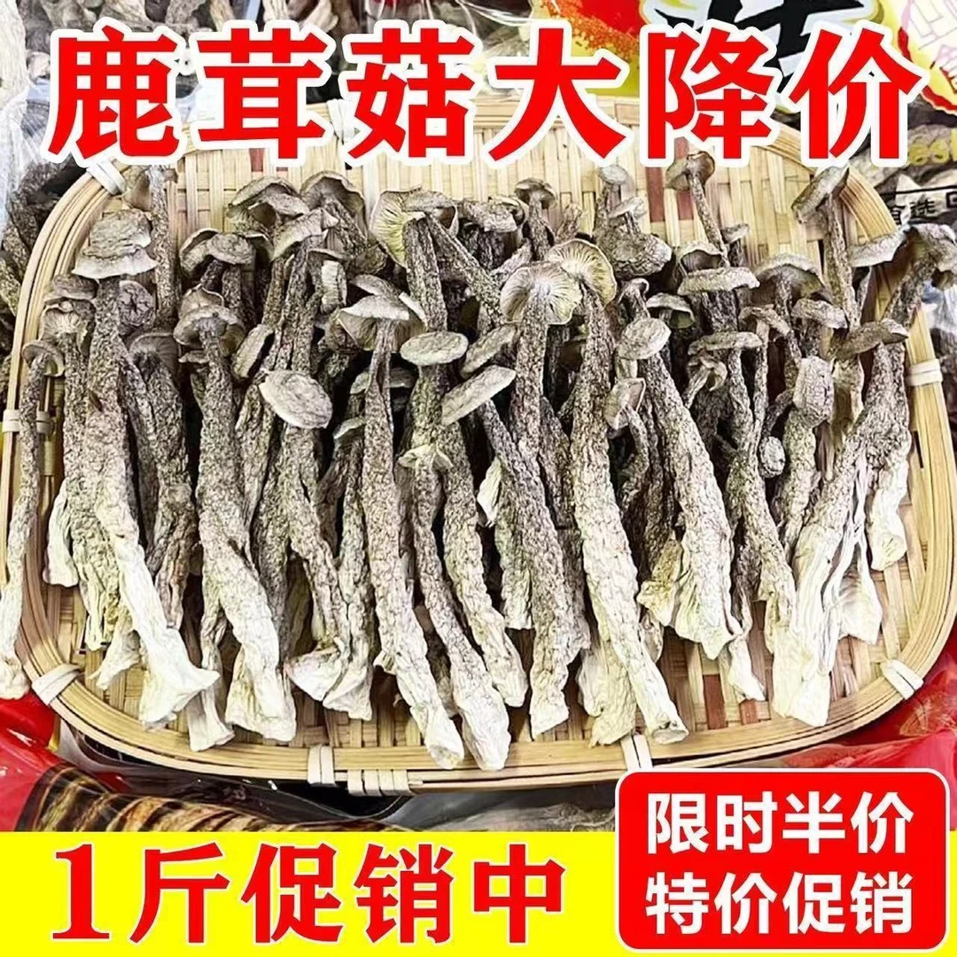 鹿茸菇干货500g包邮鹿茸菌特级鹿茸菇煲汤云南脆姑菌菇类蘑菇香菇