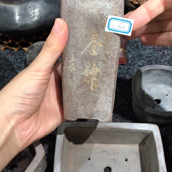 柘***民紫砂花盆草民老师的60紫砂花盆