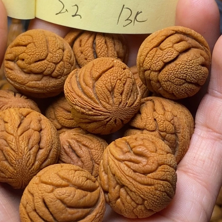 桃核吊坠秦岭龙纹桃核22尺寸