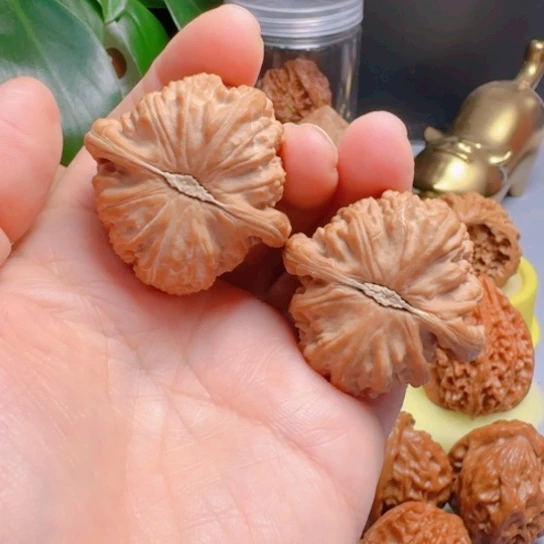 木质类卡姿兰大眼白狮子41尺