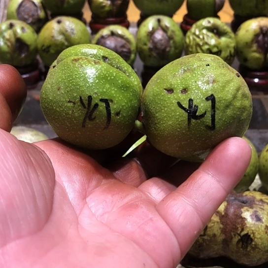 吊坠桃核核桃核桃