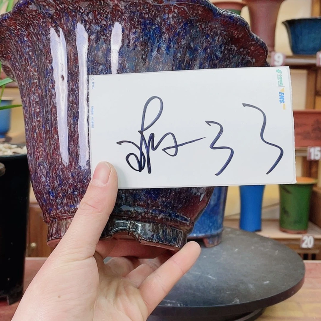 【闪购商品】紫砂花盆凝*兰花75555525578886665