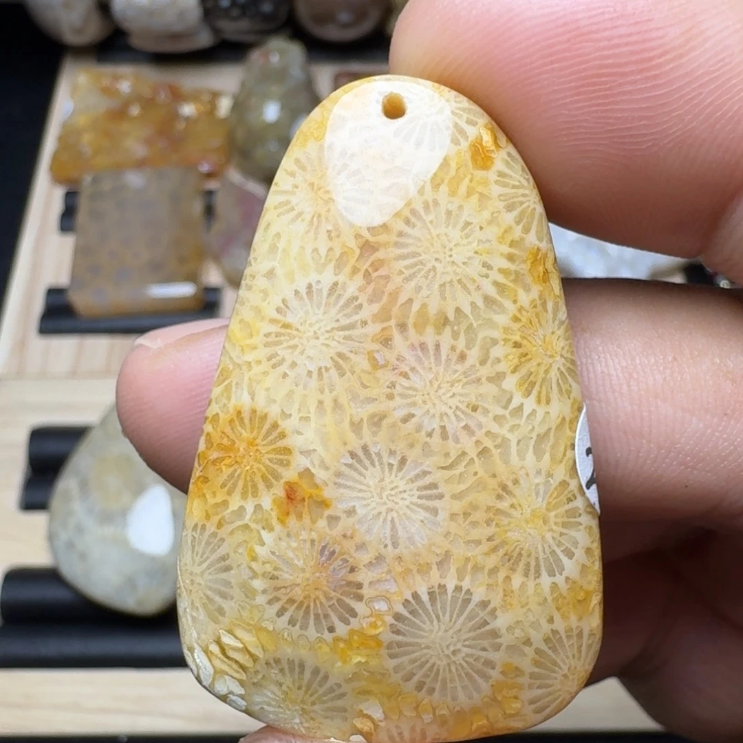 未镶嵌纯天然色有机玉石保真色硅化玉