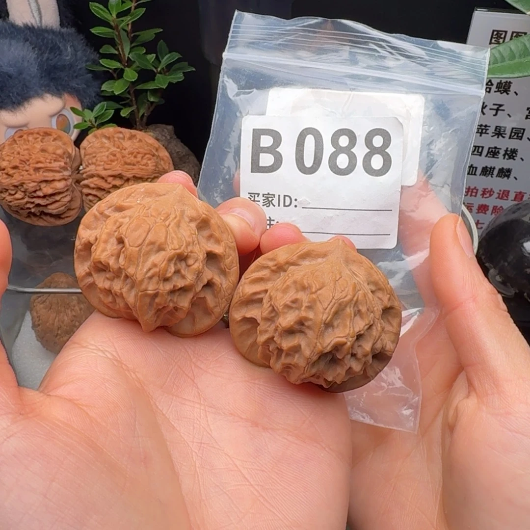 龙脊菩提吊坠全品图图42+