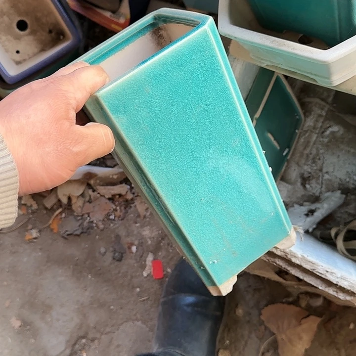 是一个不知名作家与著名导演兼电影演员们