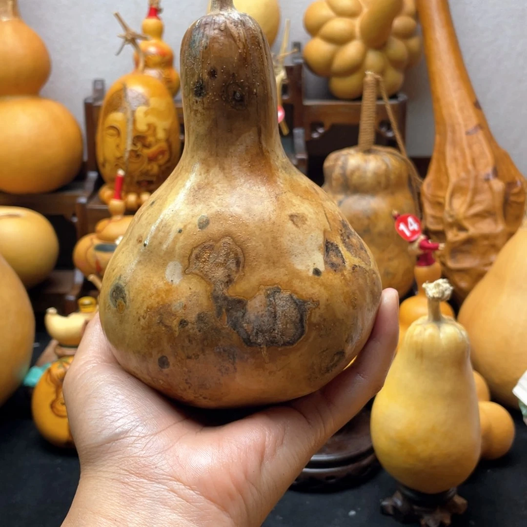 味****庆大自然的秘密第十一节的