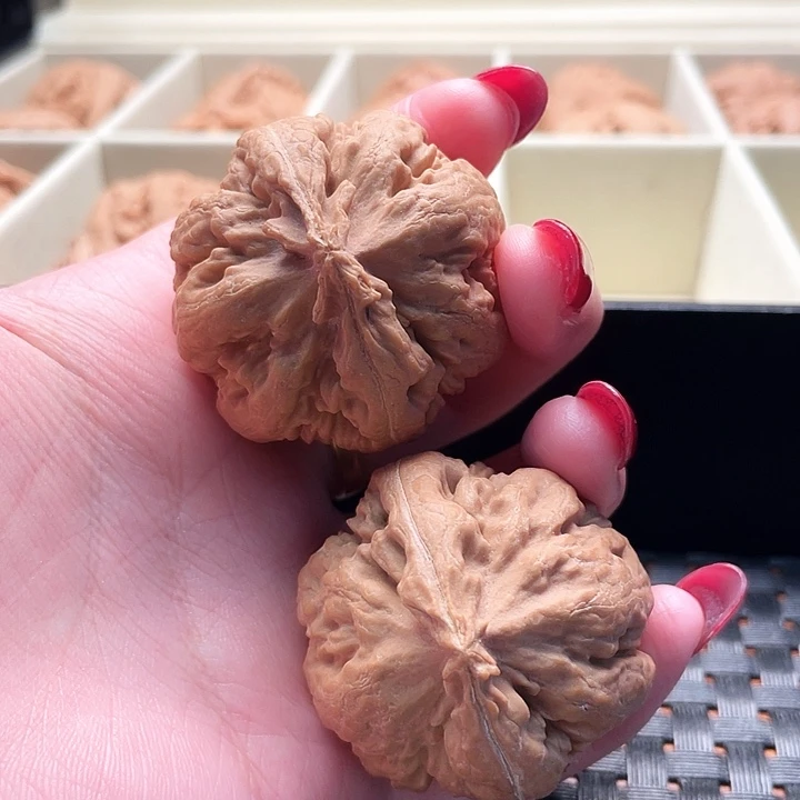 l***9霸王龙核桃尺寸40