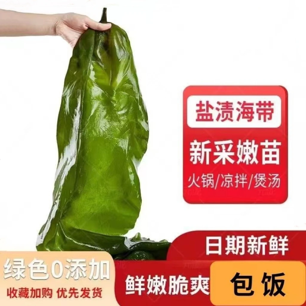 大连新鲜少盐嫩海带5斤/箱（含箱5斤）