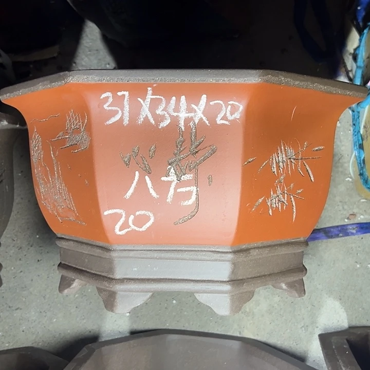 周深周深周深周深走