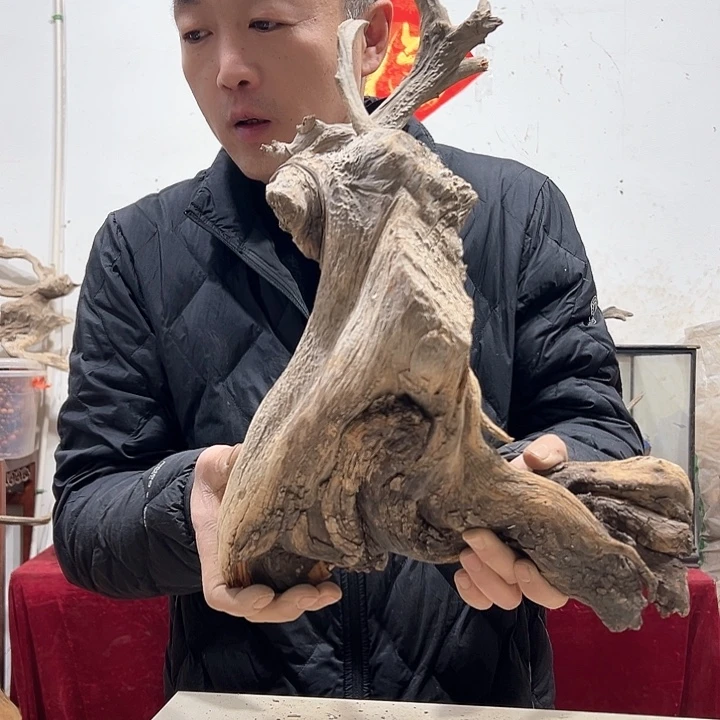 柏木抖*我们的生活也是如此