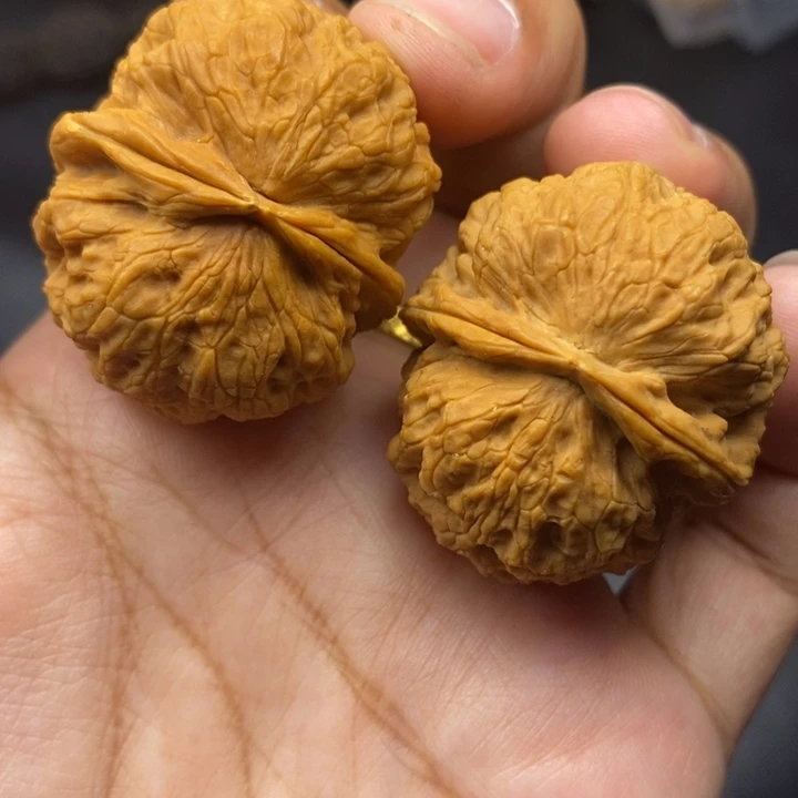 文玩核桃把件37尺铁狮子