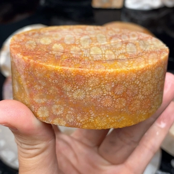 硅化珊瑚（珊瑚玉）手镯未镶嵌?****果