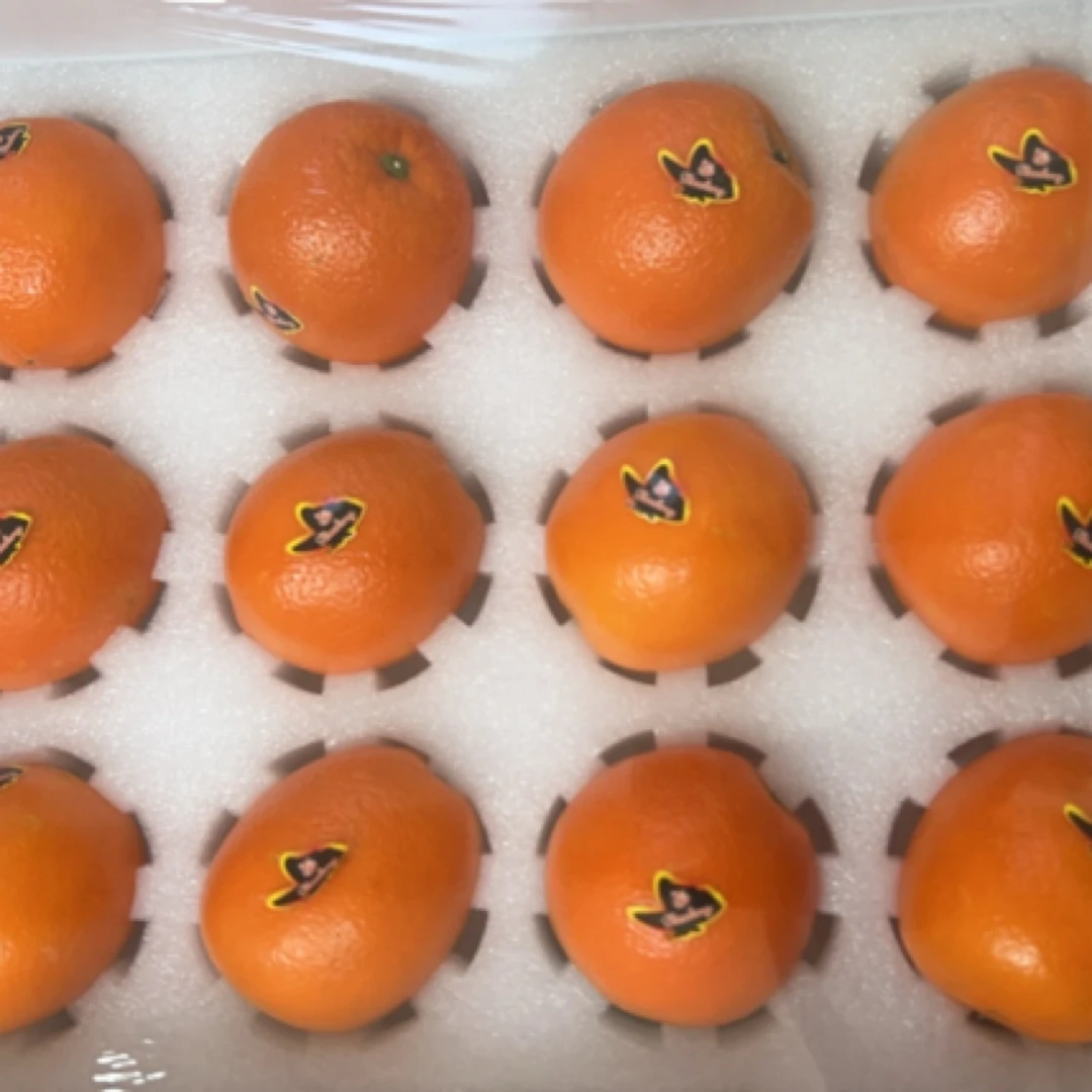 脐橙 （净5斤半）