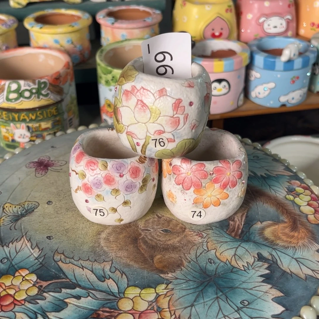 多***亿660多肉花盆120元3个