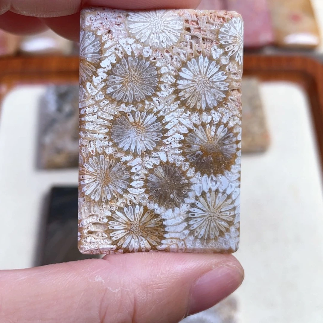 【闪购商品】硅化玉吊坠(赠链)未镶嵌顾****?