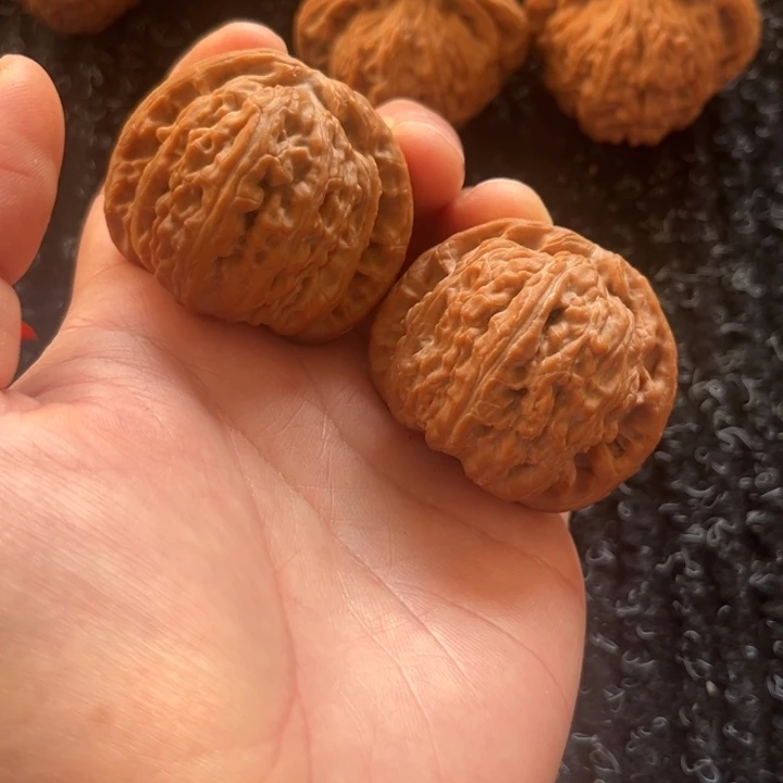 ****大叶紫檀（黑酸枝木类）白狮子