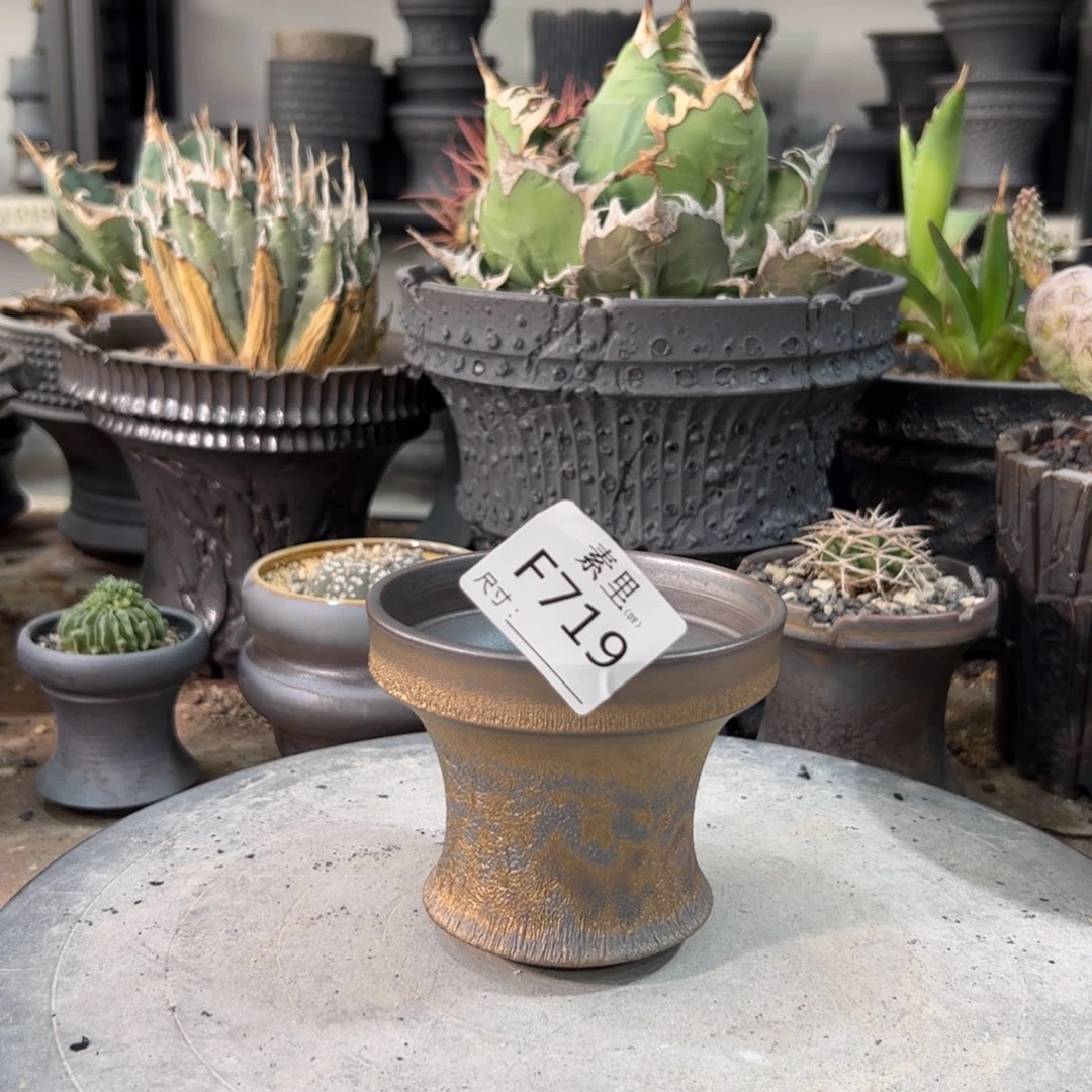 景德镇手工素里内口9.3高8.5