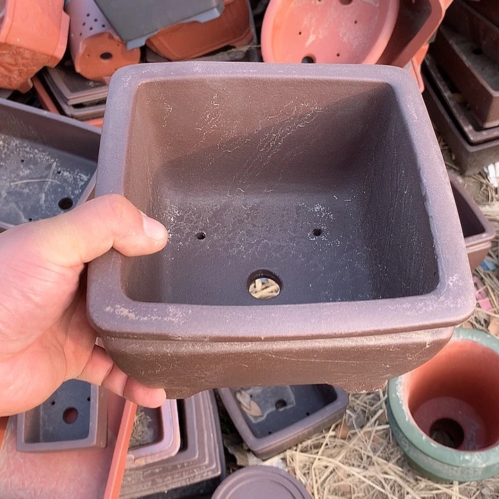 紫砂没有你喜欢吃辣