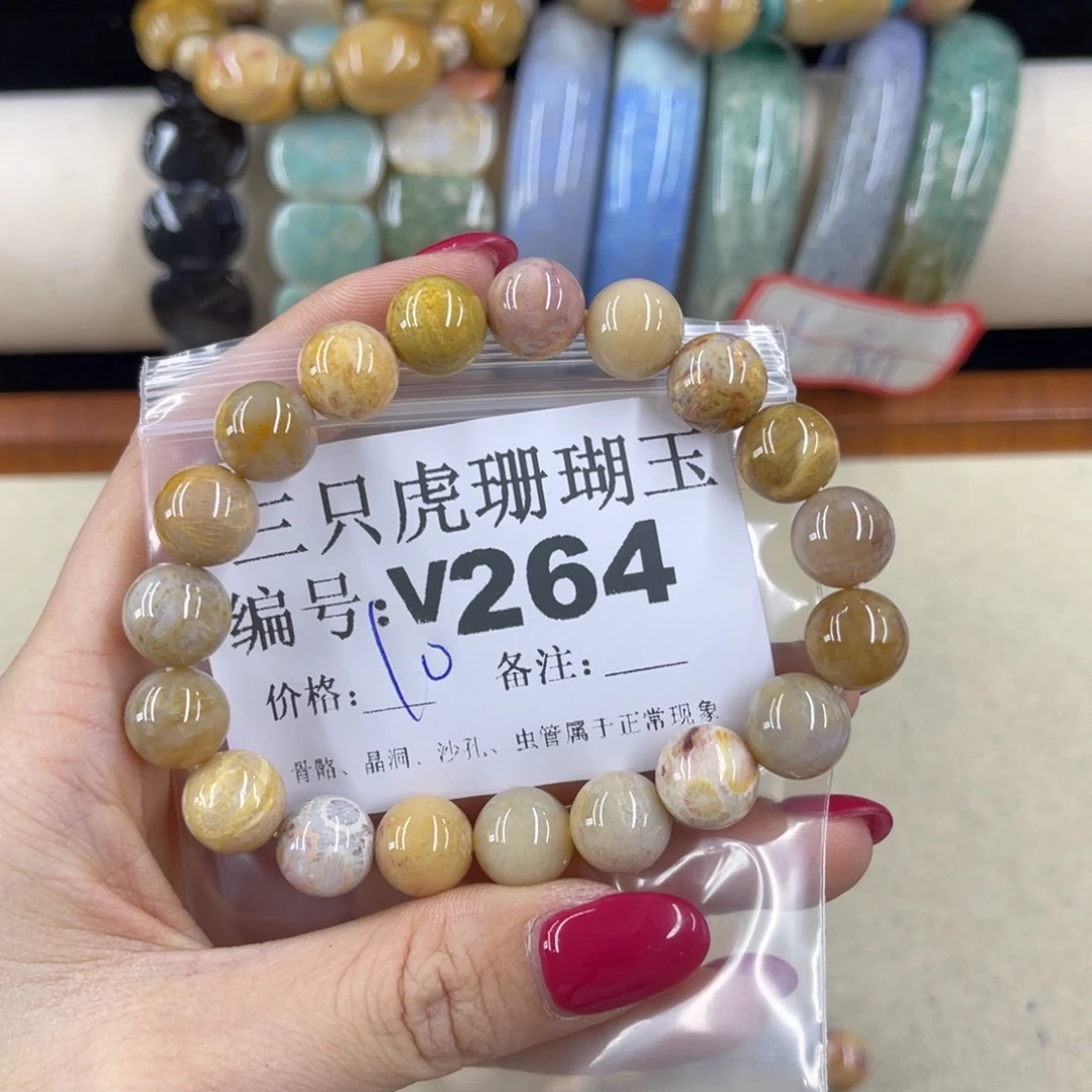 阿***厂硅化珊瑚（珊瑚玉）h未镶嵌