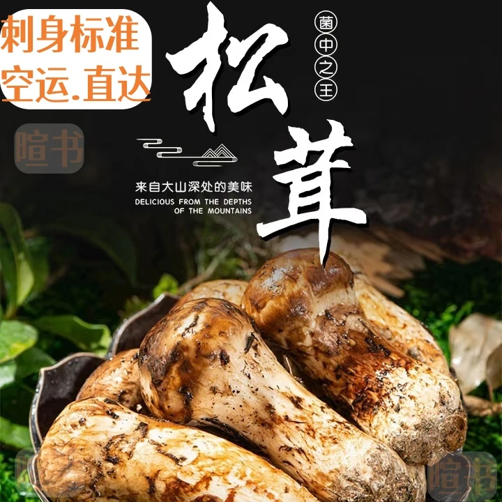 顺丰空运9-12CM天籁甘孜四千米松茸山货特产当天捡当天发直发送礼必备国宴刺身臻选松茸