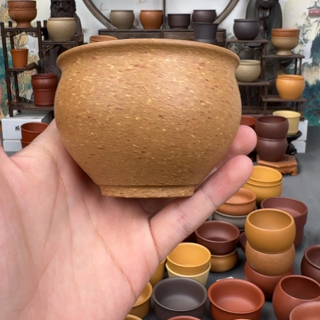 茶杯紫砂5855655952548555