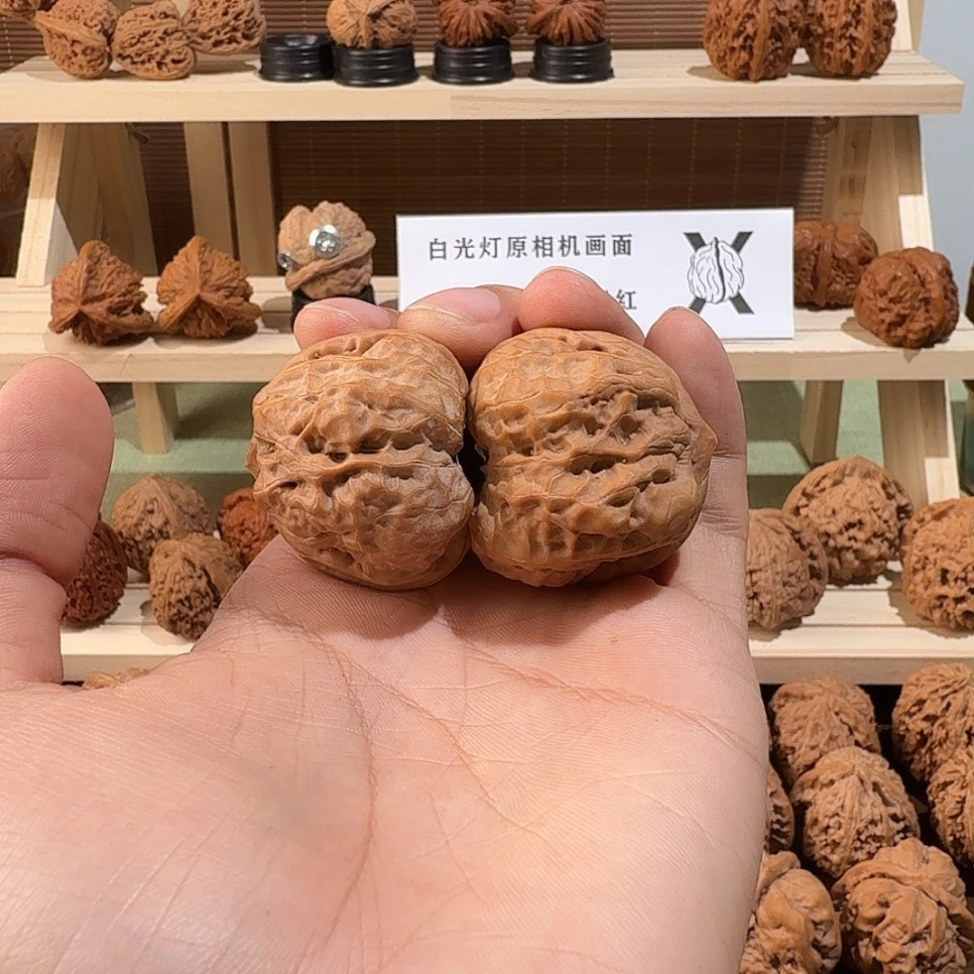 核桃肉球蛙38尺寸