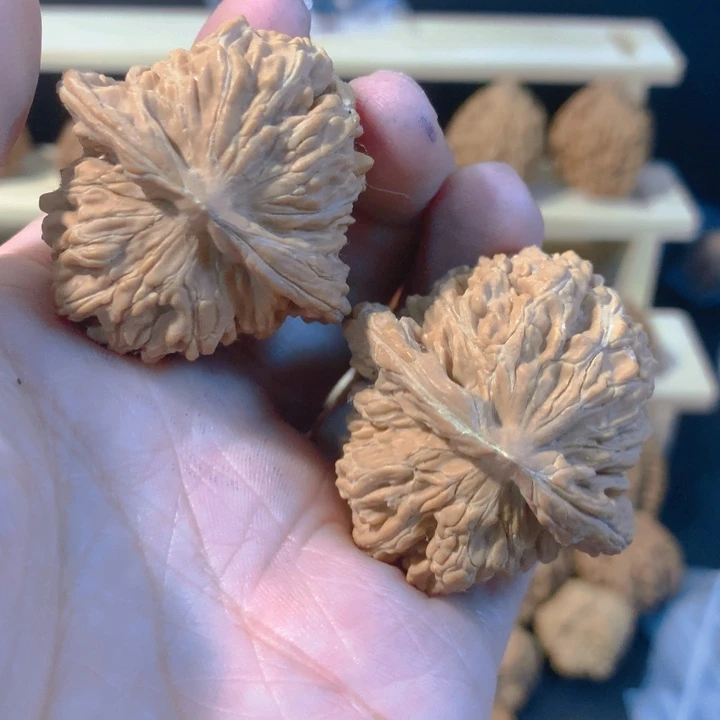 说***阳文玩核桃吊坠大楼子