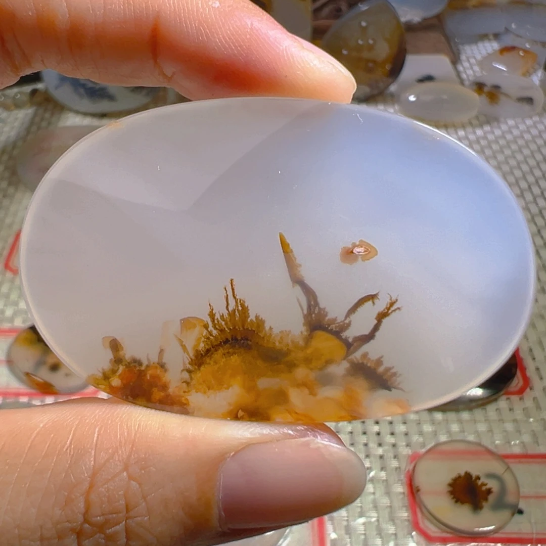 玛瑙/玉髓未镶嵌颈饰