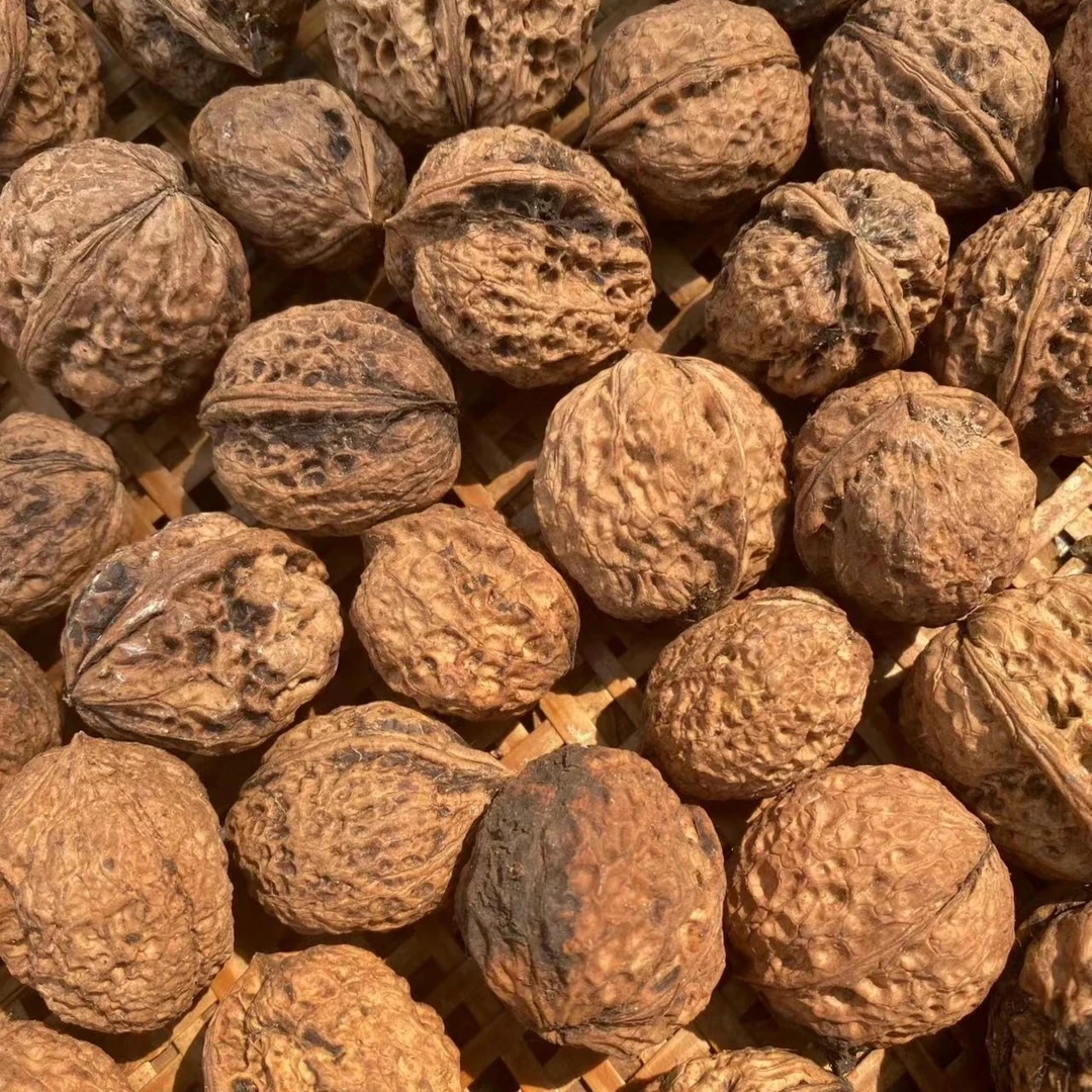 【秦巴本草】村书记助农 秦岭三十年树龄老品种核桃1000g