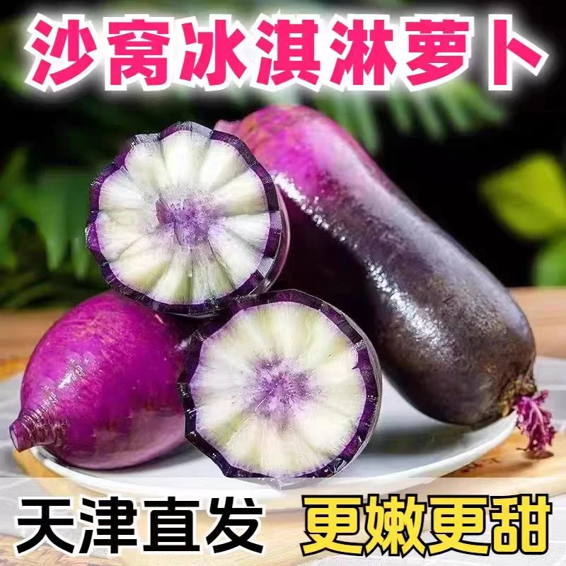 正宗天津沙窝水果萝卜冰淇淋水果萝卜生吃紫皮冰激凌糖心脆甜萝卜