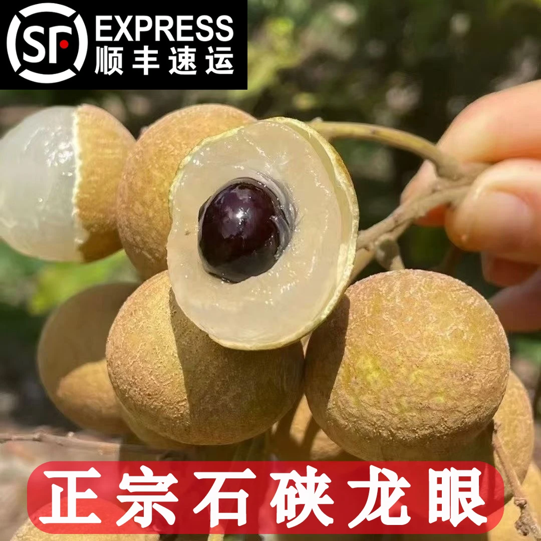 【顺丰包邮】新鲜现摘石硖龙眼 广西当季水果桂圆净重1-7斤带枝叶