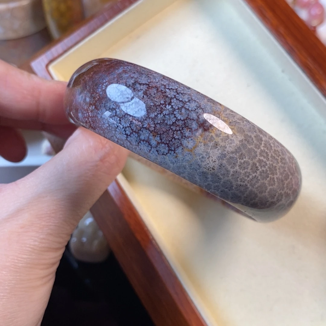 硅化珊瑚（珊瑚玉）未镶嵌手镯61口500