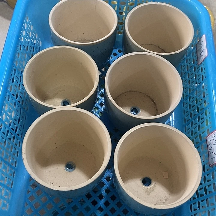 花盆抢购清货马上开始