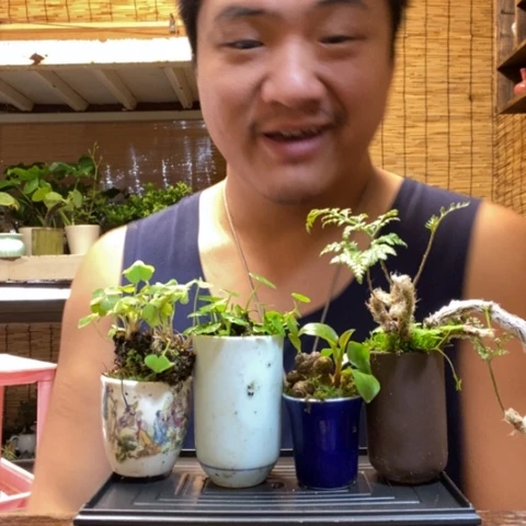 红陶一物一拍所见即所得53