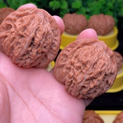 三角楼43.6全品1111111