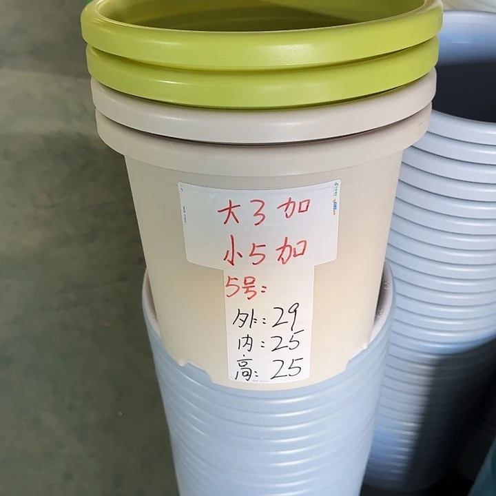 四季5#口径29灰白5个无托