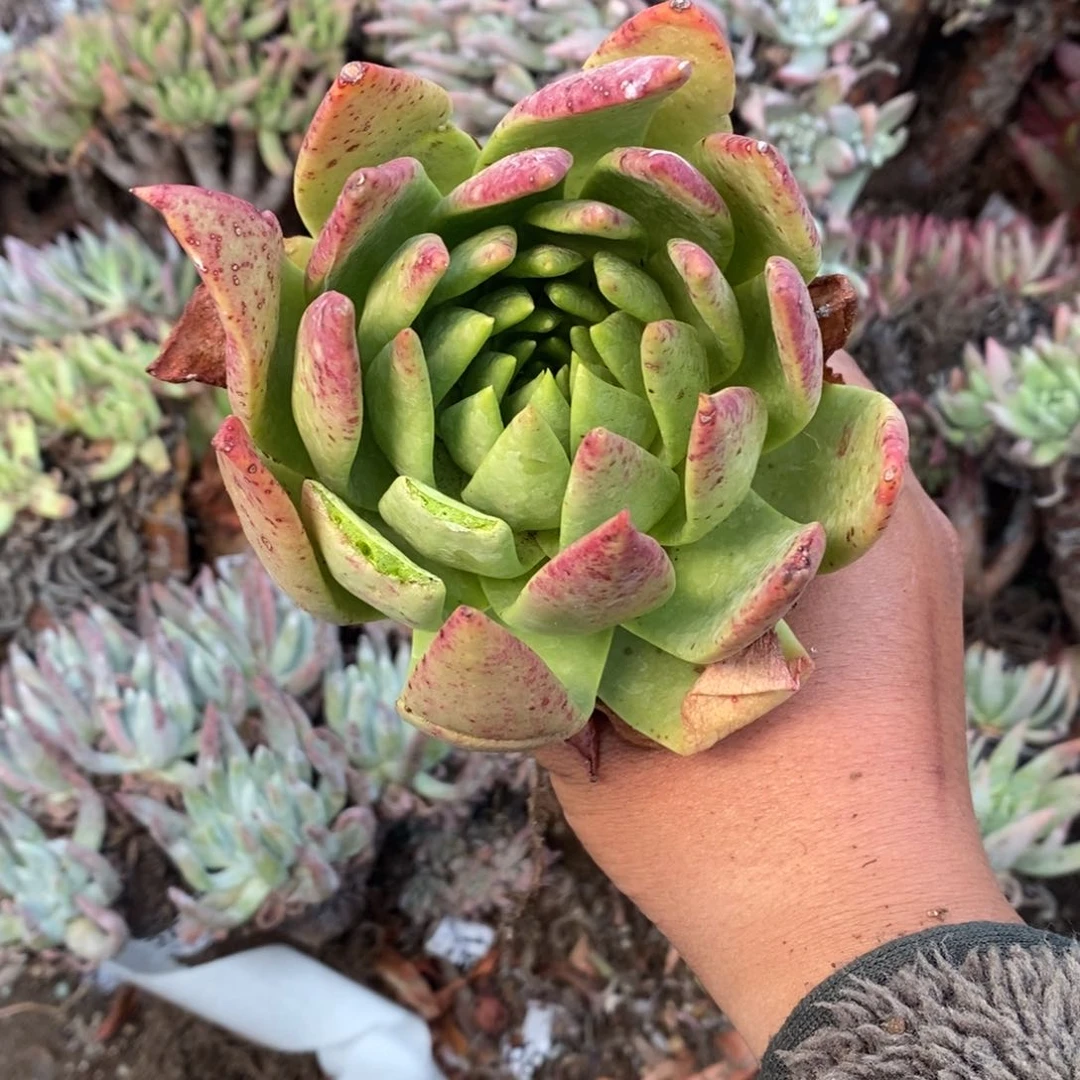 2001哈哈哈哈哈哈哈哈哈