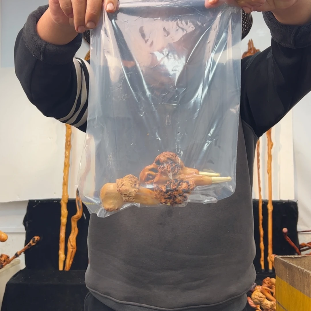 其他黑果木黑果木060