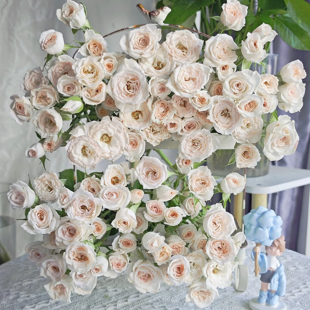 【婚礼进行曲】玫瑰鲜花/花束 云南鲜花基地直发