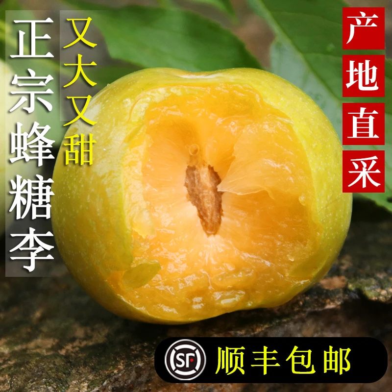 【顺丰包邮】正宗蜂糖李新鲜当季现摘产地直发脱骨脆甜维c水果
