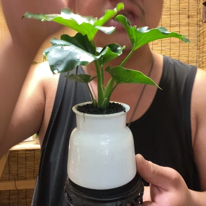 一物一拍所见即所得 158