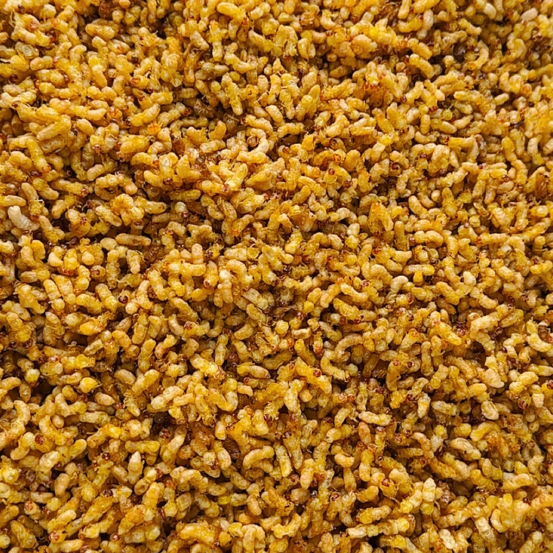 精品小香蜂12级纯嫩蜂