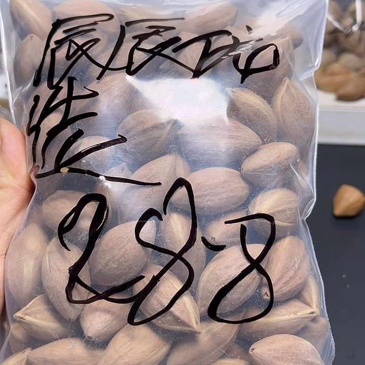 辰***选手串/手链橄榄核1111